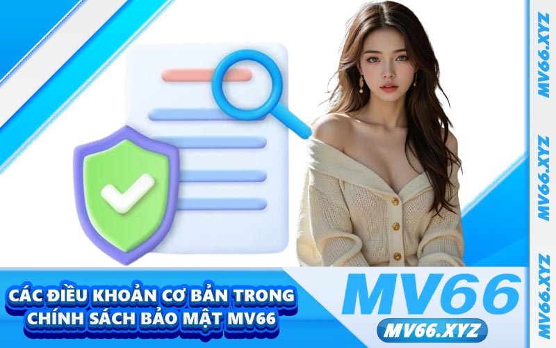Các điều khoản cơ bản trong chính sách bảo mật MV66
